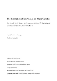 The Formation of Knowledge on Maya Cenotes