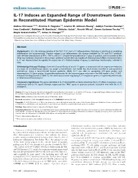 IL-17 Induces an Expanded Range of Downstream Genes in Reconstituted Human Epidermis Model