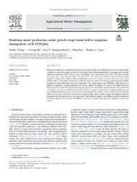 Modeling Maize Production Under Growth Stage-Based Deficit Irrigation Management with RZWQM2