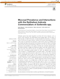 Mucosal Prevalence and Interactions with the Epithelium Indicate Commensalism of Sutterella Spp