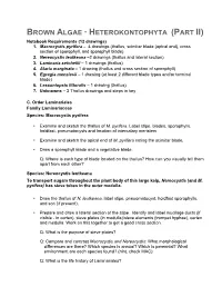 BROWN ALGAE · HETEROKONTOPHYTA (PART II) Notebook Requirements (12 Drawings) 1