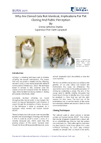 BURN 2011 Why Are Cloned Cats Not Identical, Implications for Pet Cloning and Public Perception by Emma Catherine Stubbs Supervisor Prof