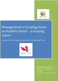 Management of Greylag Geese on Rathlin Island – a Scoping Report