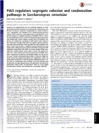 Pds5 Regulators Segregate Cohesion and Condensation Pathways in Saccharomyces Cerevisiae
