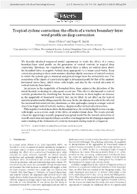 Tropical Cyclone Convection: the Effects of a Vortex Boundary-Layer Wind Proﬁle on Deep Convection