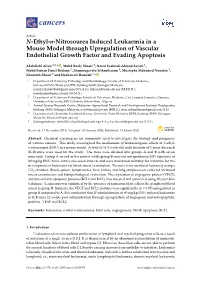 N-Ethyl-N-Nitrosourea Induced Leukaemia in a Mouse Model Through Upregulation of Vascular Endothelial Growth Factor and Evading Apoptosis