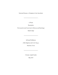 Neuronal Dynamics of Grapheme-Color Synesthesia A