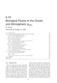 6.10 Biological Fluxes in the Ocean and Atmospheric Pco2