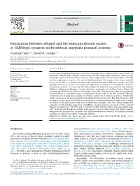 Interactions Between Ethanol and the Endocannabinoid System at Gabaergic Synapses on Basolateral Amygdala Principal Neurons