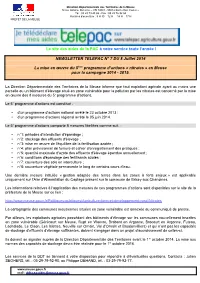 Newsletter N° 7