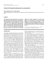 Control of Drosophila Adult Pattern by Extradenticle