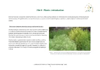 File 0 Artemisia Annua in the Cultivation & Processing Manual