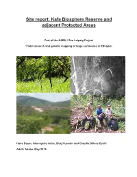 Site Report: Kafa Biosphere Reserve and Adjacent Protected Areas