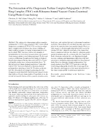 With Ribosome-Bound Nascent Chains Examined Using Photo-Cross-Linking Christine D