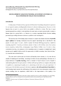 Development and Functioning of Expert Systems As Illustrated by Selected Examples
