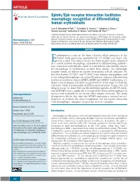 Ephrin/Eph Receptor Interaction Facilitates Macrophage Recognition