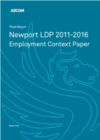 Newport-LDP Employment Paper Final