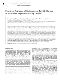 Prominent Activation of Brainstem and Pallidal Afferents of the Ventral Tegmental Area by Cocaine