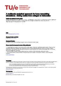 A Multiscale Analytical Approach for Bone Remodeling Simulations : Linking Scales from Collagen to Trabeculae