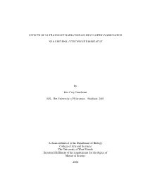 Effects of Ultraviolet Radiation on Developing Variegated