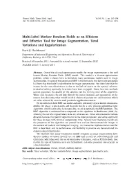 Multi-Label Markov Random Fields As an Efficient and Effective Tool For