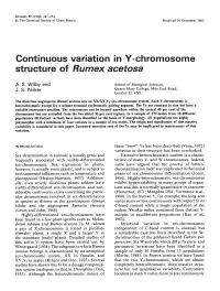 Continuous Variation in Y-Chromosome Structure of Rumex Acetosa