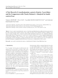 A New Record of Acanthodactylus Cantoris (Sauria: Lacertidae) and Its Comparison with Closely Related A