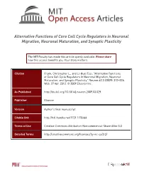 Alternative Functions of Core Cell Cycle Regulators in Neuronal Migration, Neuronal Maturation, and Synaptic Plasticity