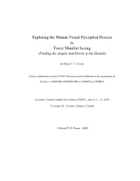 Exploring the Human Visual Perception Process to Foster Mindful Seeing (Finding the Angels and Devils in the Details)