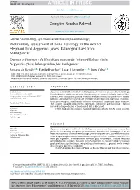 Preliminary Assessment of Bone Histology in the Extinct Elephant Bird