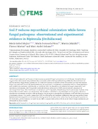 Soil P Reduces Mycorrhizal Colonization While Favors