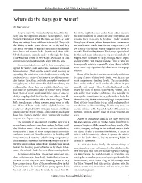 Where Do the Bugs Go in Winter? by Matt Bowser