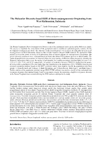 05 SS14-070 Pieter the Molecular Lay-Akhir2nd