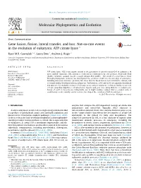 Gene Fusion, Fission, Lateral Transfer, and Loss: Not-So-Rare Events in the Evolution of Eukaryotic ATP Citrate Lyase