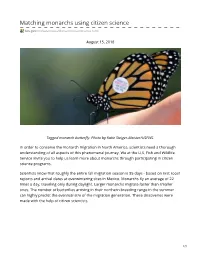 Matching Monarchs Using Citizen Science