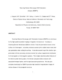 1 Scanning Electron Microscopy with Polarization Analysis (SEMPA) J