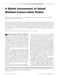 A Global Assessment of Inland Wetland Conservation Status
