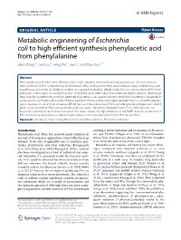 Metabolic Engineering of Escherichia Coli to High Efficient Synthesis
