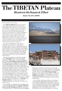 Flat a (Page 1)