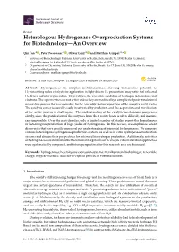Heterologous Hydrogenase Overproduction Systems for Biotechnology—An Overview