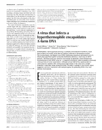 A Virus That Infects a Hyperthermophile Encapsidates A-Form