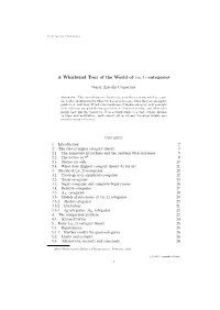 A Whirlwind Tour of the World of (∞,1)-Categories