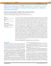 Alternative Splicing of AMPA Subunits in Prefrontal Cortical Fields Of