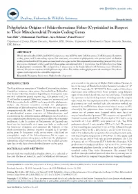 (Cyprinidae) in Respect to Their Mitochondrial Protein-Coding Genes