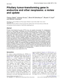 Pituitary Tumor-Transforming Gene in Endocrine and Other Neoplasms: a Review and Update