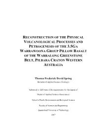 Thomas Spring Thesis (PDF 7MB)
