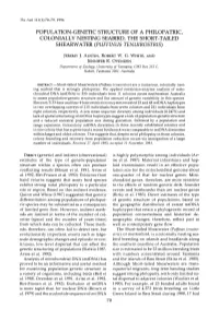 Population-Genetic Structure of a Philopatric, Colonially Nesting Seabird, the Short-Tailed Shearwater (Puffinus Tenuirostris)