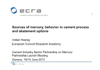 Sources of Mercury, Behavior in Cement Process and Abatement Options