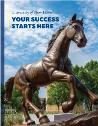 University of New Haven Virtual Information