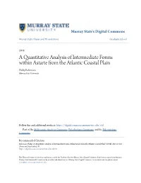 A Quantitative Analysis of Intermediate Forms Within Astarte from the Atlantic Coastal Plain Philip Roberson Murray State University